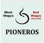 Pioneros Logo